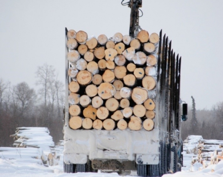 Transport routier de bois en longueur sur la route du Lac-Édouard