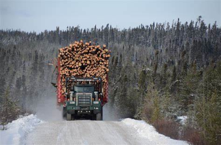 Transport forestier intensif du 12 au 28 février 2025