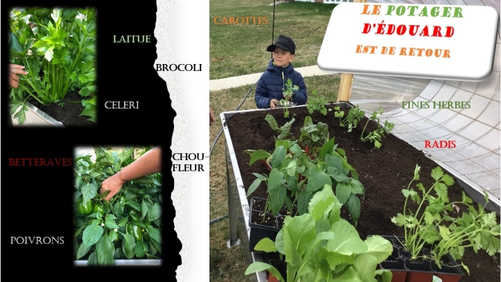 Le Potager d'Édouard est de retour !
